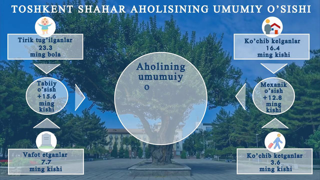 Toshkent shahar statistika boshqarmasi Demografik holati