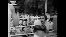Хожибой Тожибоев – Комедийный фильм