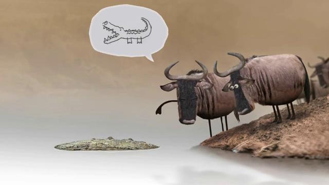 Wildebeest – Гну – анимационный ролик от студии Bird Box