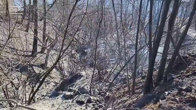 Сносит дома и мосты в Америке! Наводнение в горах США