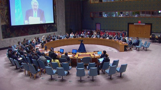 В СБ ООН обсудили всплеск насилия на Западном берегу реки Иордан