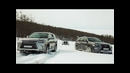 Black & White Team. Lexus LX 570 vs НОВЫЙ Lexus GX 460