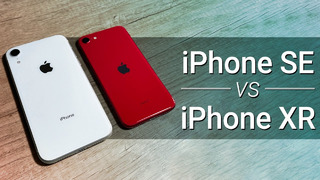 IPhone XR vs iPhone SE 2020 — какой купить? Сравнение