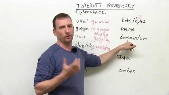 English Vocabulary- 12 Internet words