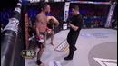 Mark Godbeer vs Stuart Austin – BAMMA 25 (BAMMA Heavyweight Title)