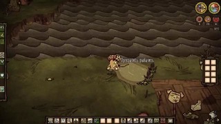 Don’t Starve Together – Свиньи Оборотни! #6