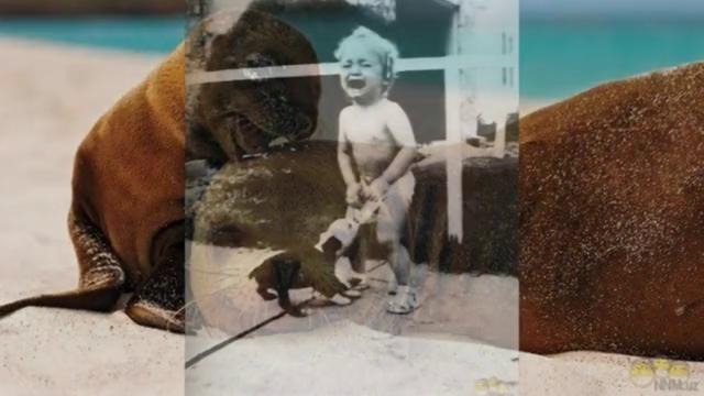 Больше, чем просто фото