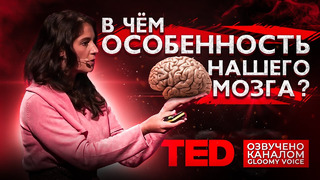 TED | В чём особенность нашего мозга