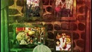K-project return of kings (TV-2)