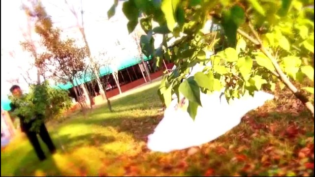 MagicLightStudio Прогулка