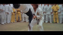 Bruce Lee – Enter The Dragon Remix (EM) [HD]
