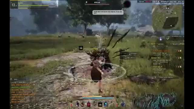 Black Desert КОЛДУНЬЯ- ближний или дальний бой