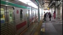 Защитники (двери) в метрополитенах