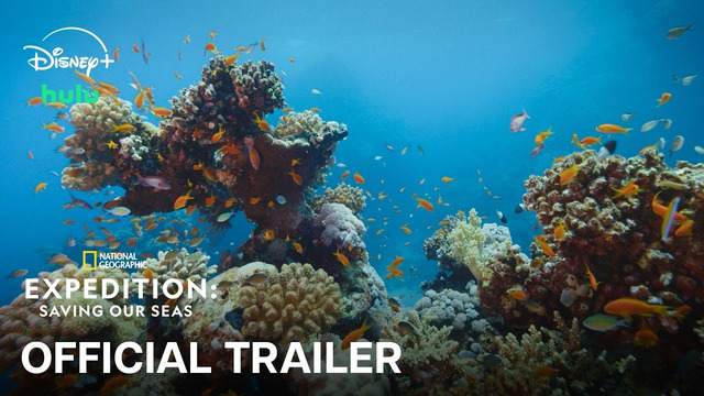 Expedition: Saving Our Seas | OFFICIAL TRAILER | National Geographic