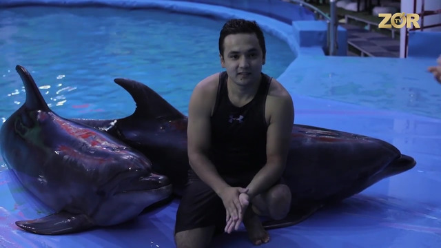 Xafa bo’lish yo’q – Shohrux (Ummon)ni 60 mln. so’mga chuv tushirib ketishdi #86