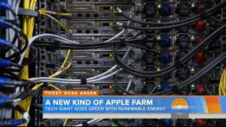 NBC News: Apple Farm