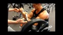 Jeff Seid-Arm Workout