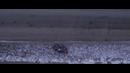 ВИТЮША’ короткометражный фильм с Артуром Смольяниновым