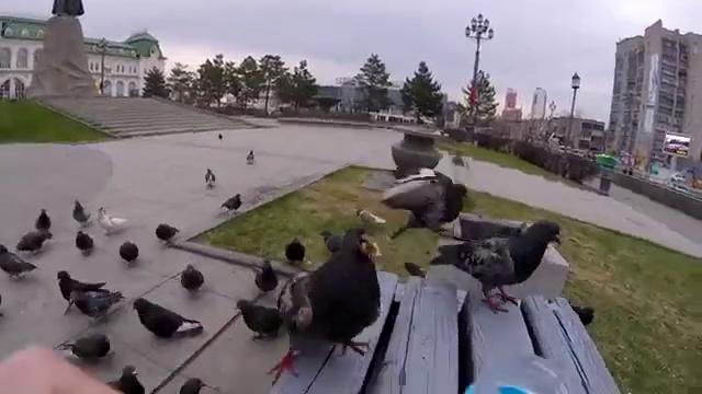 Города россии- хабаровск