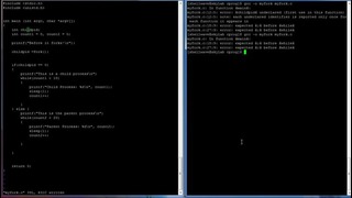C Programming in Linux Tutorial #026 – fork() Function