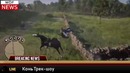 WDF NEWS Фейлы в играх 152