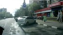 Лосиха в центре города