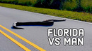 Florida Man Strikes Back | Wildest Florida Fails