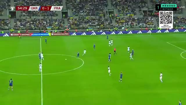 Украина – Франция | Обзор матча