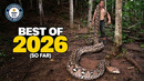 Best of 2026 (so far!) | Guinness World Records