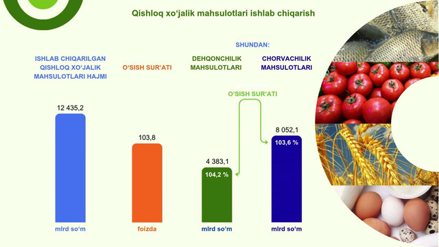 Xorazm viloyatida qishloq, o’rmon va baliqchilik xo’jaligi (2026-yil yanvar-iyun)