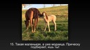 33 раза, когда случайно нажал на кнопку фотоаппарата, а получился шедевр