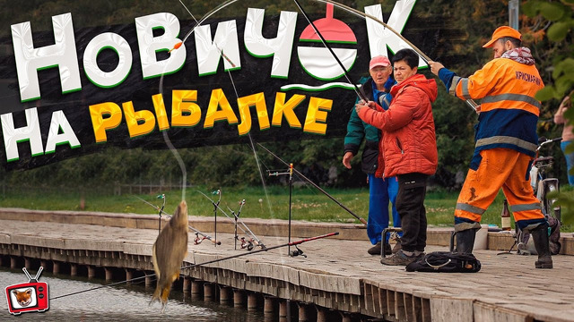 Притворился НОВИЧКОМ на рыбалке! НАУДИЛ гигантского КАРПА на ЛУУУК ) НИКТО не верил! А я ПОЙМАЛ