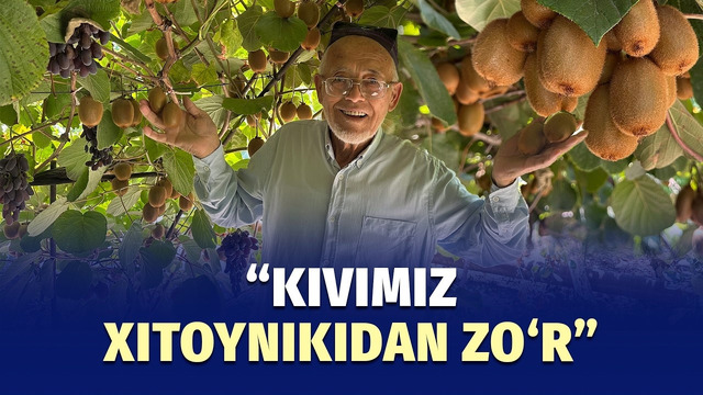 Xonadonida kivi yetishtirayotgan quvalik bog‘bon
