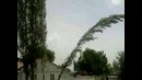 Янгиюльский Мужык с бензопилой орет ржака