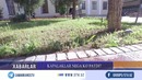 Капалаклар нега кўпайиб кетяпти