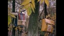 Ералаш № 70