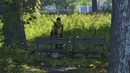 Мармок The division 2 "Баги, Фейлы, приколы"