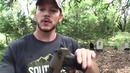 Desert Eagle в крупнокалиберную пятницу Разрушительное ранчо перевод Zёбры