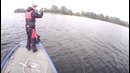 Поиск рыбы на крупных водохранилищах. TIP 31