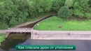 Лучшие ролики недели #160 Когда лето не летнее