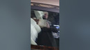 ЗИЛ 4102 РАИСА #зенкевич #иванзенкевич ##зил130 #ЗИЛ