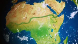 Как превратить Сахару в оазис?! Мегапроект Африки – Великая Зелёная Стена