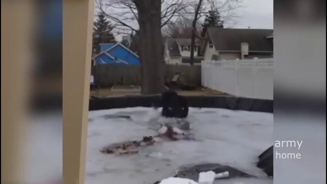 Приколюха #420