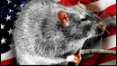 10 УЖАСОВ США в Сравнении с Россией