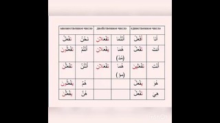 Арабский язык Урок 16 (часть1)