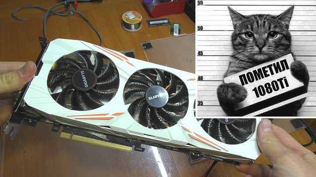 Кот пометил видеокарту ремонт gtx 1080ti от gigabyte