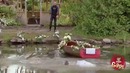 Невеста в лодке