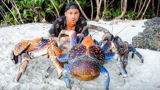 Exploring For Giant Coconut Crabs – Are They Man Eaters