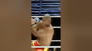 Ken Shamrock Was a MONSTER ‍ #shorts