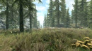 Inda game – Skyrim – Интересные моменты и секреты игры
